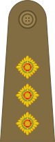 File:British Army (1920–1953) OF-2.svg