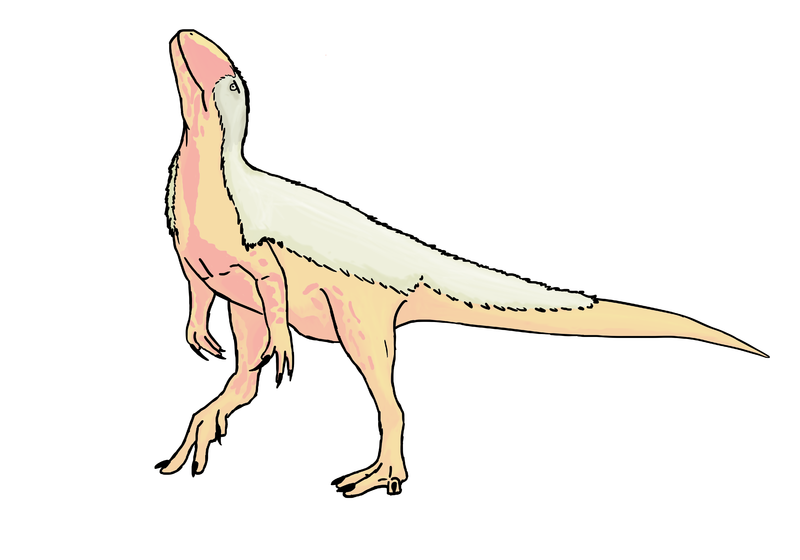 File:Eocarcharia Full Body.png