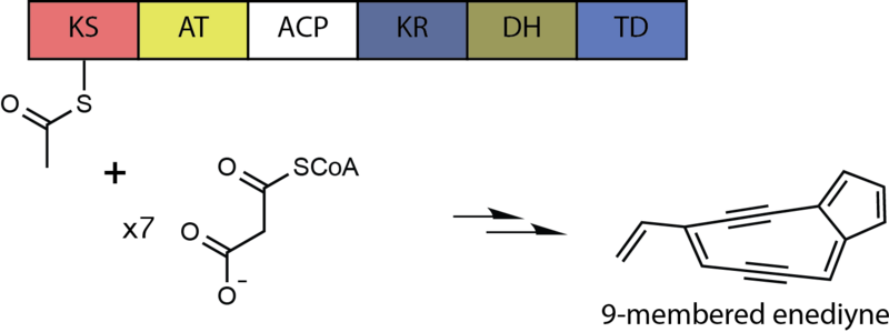 File:Iterative PKS.png