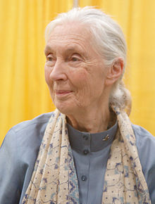 JaneGoodallSept2011.jpg