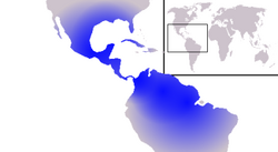 Gran parte de Sudamerica y Centroamerica. Mayormente en la region Amazonica.