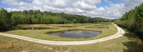 Ponds at the University of Mississippi Field Station