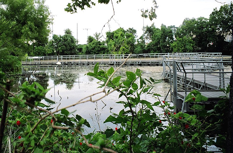 File:Wetlands boardwalk.jpg