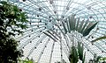 Roof of Butterfly Park