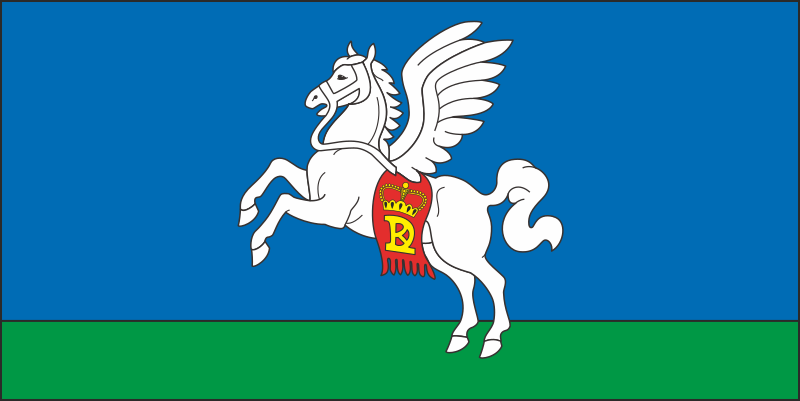 Файл:Flag of Slutsk, Belarus.svg