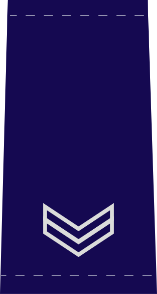 File:Israel-Police-OR-8b.svg