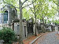 A winding path through the cemetery