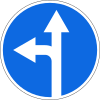 Straight ahead or left turn permitted