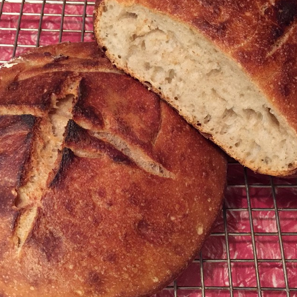 File:Sourdough bread cooling.png