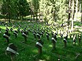 Fragment of Antakalnis Military Cemetery