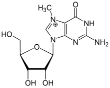 7-Methylguanosine.svg