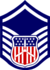 C/MSgt insignia