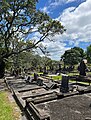 Inside O'Neill's Cemetery