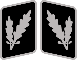 File:SS-Oberführer Collar Rank.svg