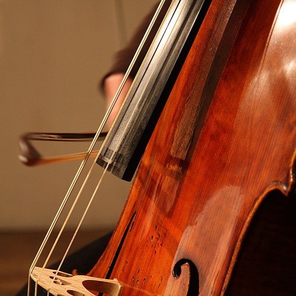 File:Cello and a bow.jpg