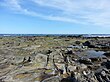 Bunurong Marine Park Coal Point Reef