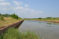 The dock, with a canal opening to allow water to flow into the river, thereby maintaining a stable water level, Lothal