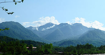 Caspian forests in Maklavan, Gilan.