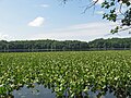 Leesylvania State Park