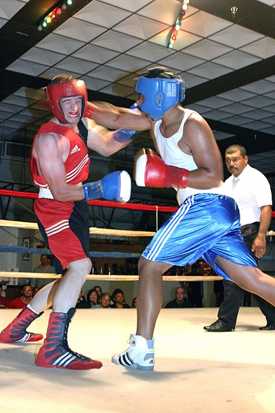 Файл:Ouch-boxing-footwork.jpg