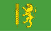 Flag of Kutno County