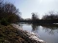 Río Luján atravesando la Reserva ecológica Otamendi.