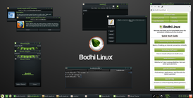 Bodhi Linux 4.0.0