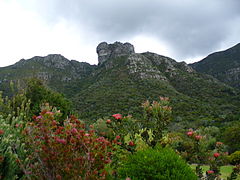 Castle Rock from Kirstenbosch