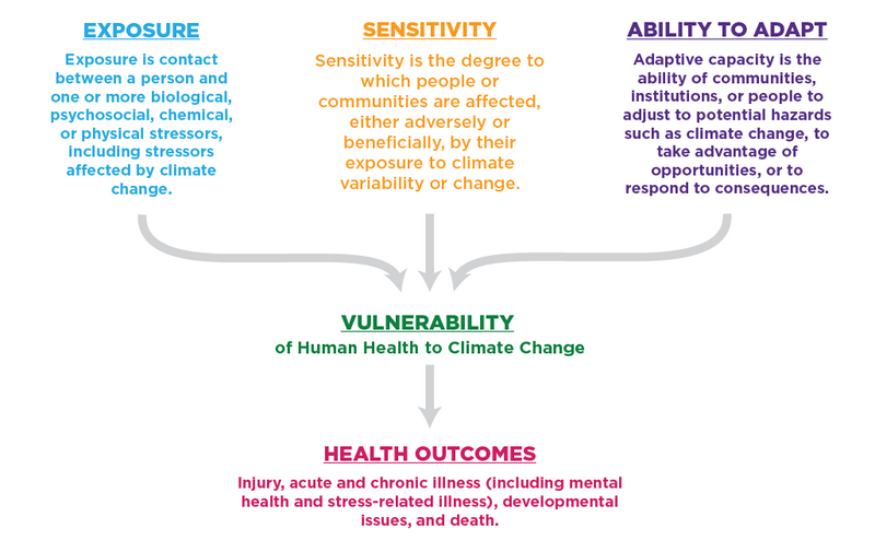 File:Determinants of Vulnerability.png