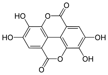 File:Ellagic acid.svg