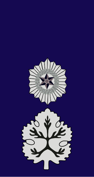 File:Israel-Police-OF-4.svg