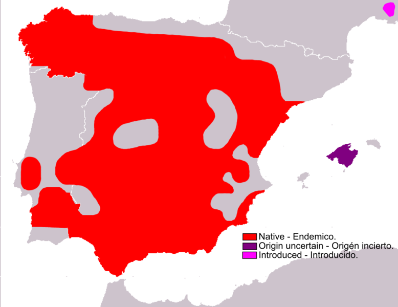 Archivo:Lepus granatensis range Map.png