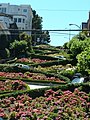 Lombard Street's famed route twists past flower beds in full bloom