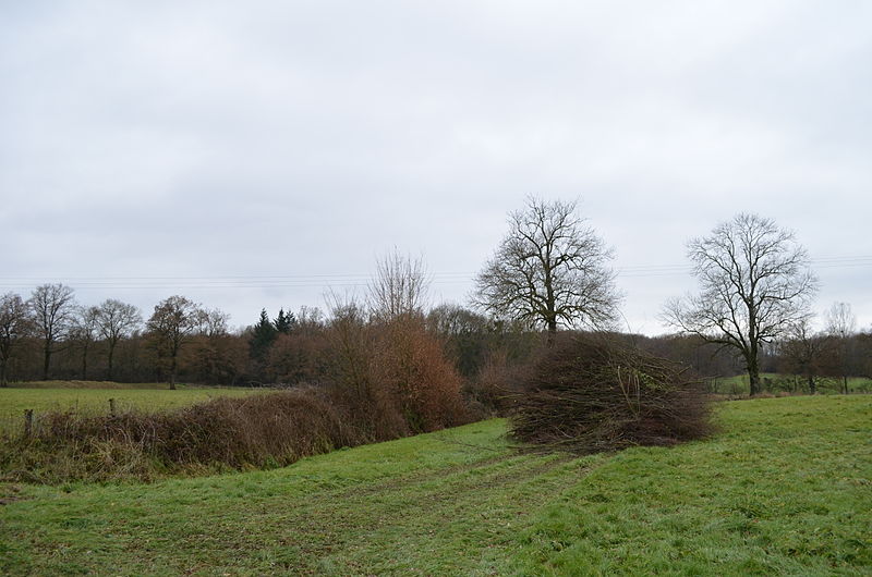 Файл:Paysage à Saint-Germain-sur-Renon.JPG