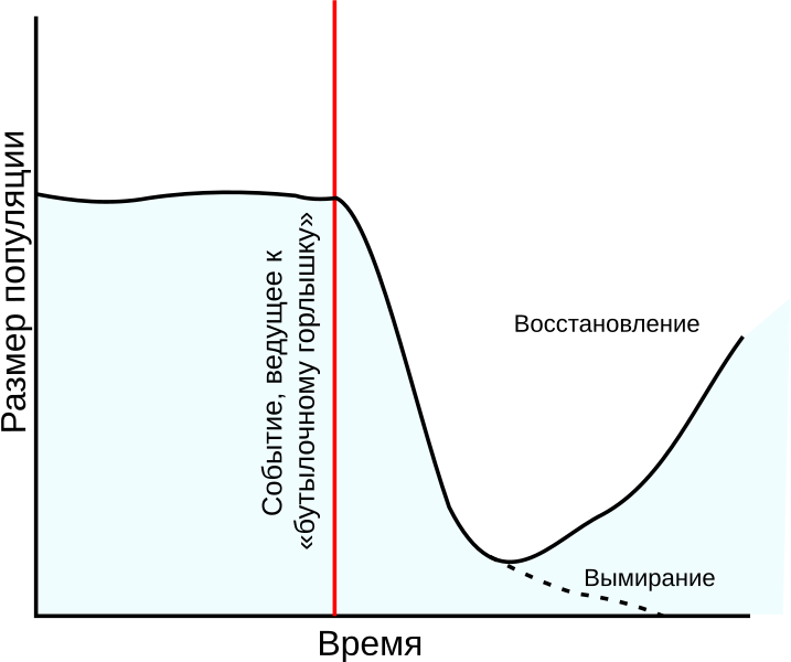 Файл:Population bottleneck ru.svg