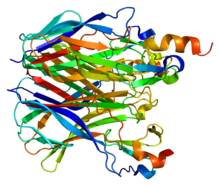 Protein TNFRSF13B PDB 1xu1.png