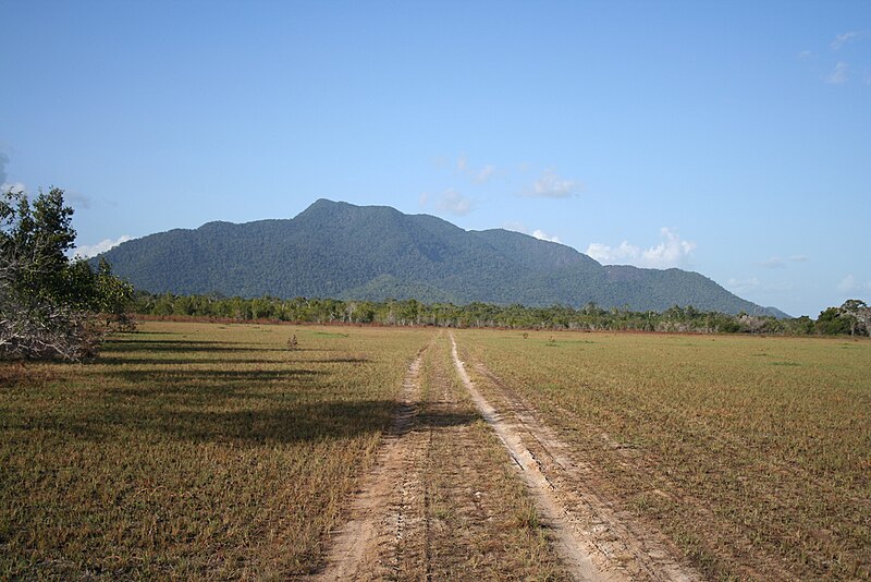 File:Rupununi Savannah.jpg