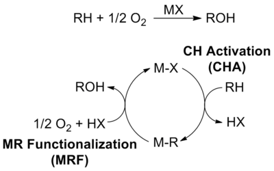 AlkaneOxCy