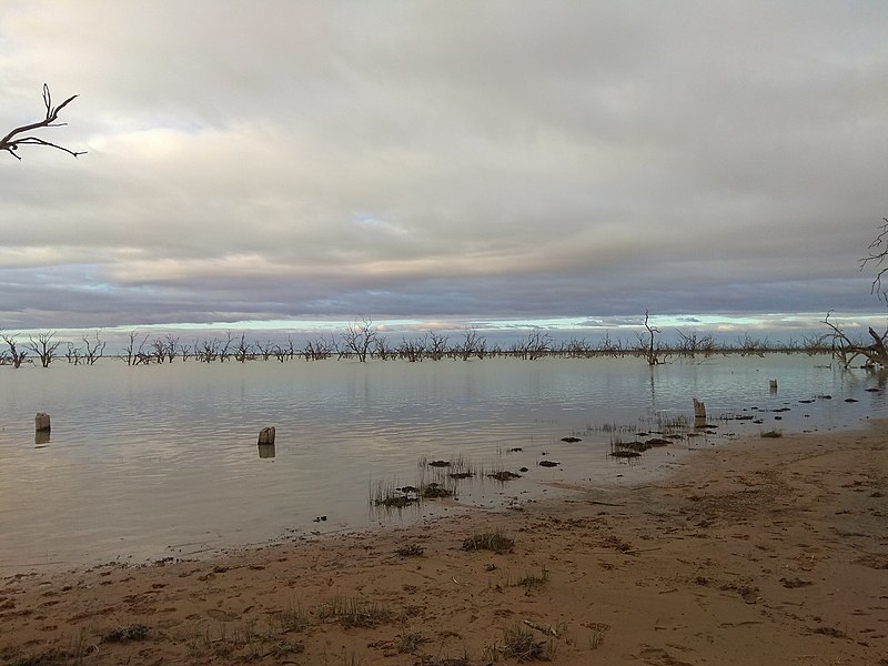 File:Amazing lake menindee.jpg