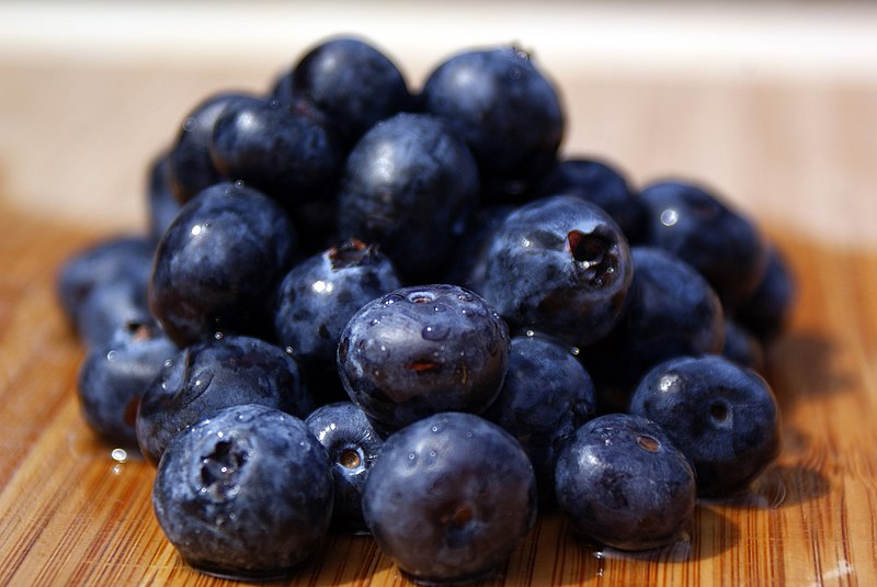 File:Blueberries (3442291079).jpg