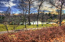 Gfp-st-louis-botanical-gardens-japanese-gardens-overlook