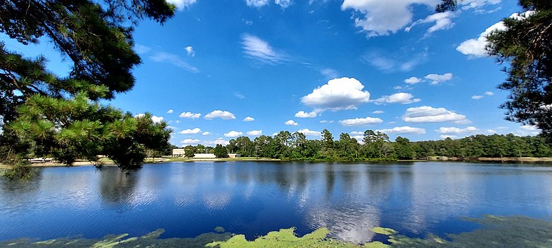 File:Lake Ansley Moore.jpg