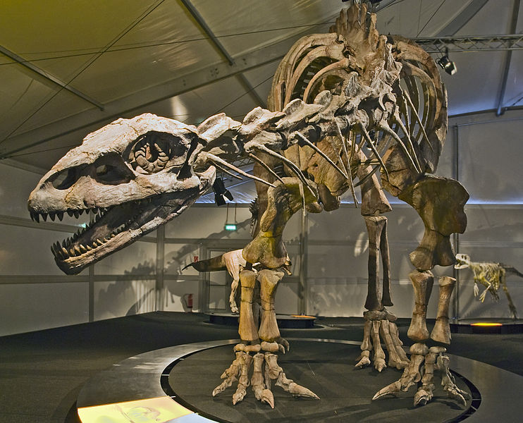 File:Lessemsaurus Senckenberg.jpg