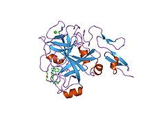 PDB 1g2l EBI.jpg