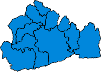 File:SurreyParliamentaryConstituency2010Results.svg