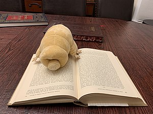 Tardigrade soft toy