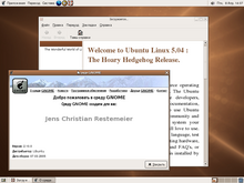 Ubuntu 5.04 i386 (Russian).png