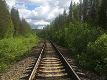 Вид в сторону Райконкоски. Место ответвления карьерной ветки.