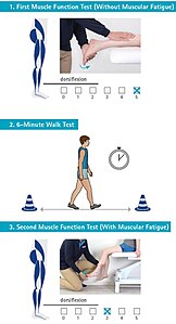 Integration of the 6-minute walk test