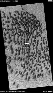 Dunes on a crater floor, as seen by HiRISE under HiWish program. Most of these are barchans. Box shows location of next image. Location is the Eridania quadrangle.